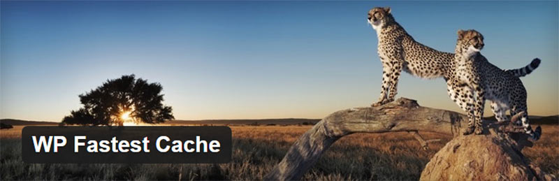 سریع ترین افزونه کش